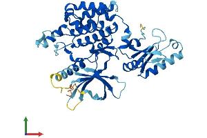 AlphaFold protein structure predicition of Human Recombinant UHMK1 Protein, UniprotID Q8TAS1