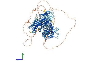 AlphaFold protein structure predicition of Human Recombinant PTPN3 Protein, UniprotID P26045