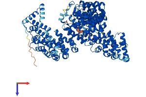AlphaFold protein structure predicition of Human Recombinant TNPO1 Protein, UniprotID Q92973