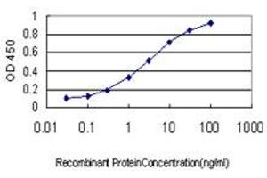 Detection limit for recombinant GST tagged IL1F9 is approximately 0. (IL1F9 anticorps  (AA 1-110))