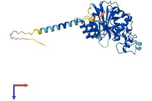 AlphaFold protein structure predicition of Human Recombinant B3GNT4 Protein, UniprotID Q9C0J1
