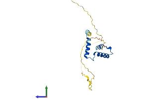 AlphaFold protein structure predicition of Human Recombinant SCAND1 Protein, UniprotID P57086