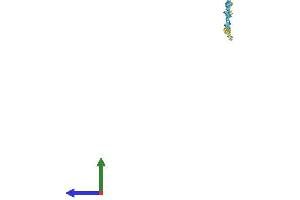 AlphaFold protein structure predicition of Human Recombinant SPRR1B Protein, UniprotID P22528