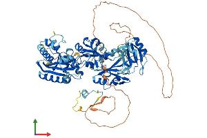 AlphaFold protein structure predicition of Mouse Recombinant Esrp2 Protein, UniprotID Q8K0G8