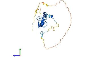 AlphaFold protein structure predicition of Mouse Recombinant Ino80c Protein, UniprotID Q8BHA0