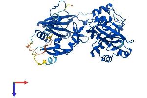 AlphaFold protein structure predicition of Mouse Recombinant Fktn Protein, UniprotID Q8R507