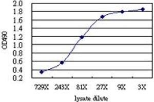 Sandwich ELISA detection sensitivity ranging from approximately 729x to 3x dilution of the BLK 293T overexpression lysate (non-denatured).