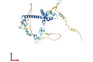 AlphaFold protein structure predicition of Mouse Recombinant Mkrn2 Protein, UniprotID Q9ERV1