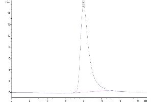 The purity of Biotinylated Human NKp30 is greater than 95 % as determined by SEC-HPLC.