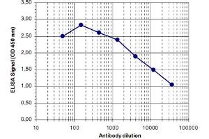 ELISA was performed using a serial dilution of MBD4 polyclonal antibody  in antigen coated wells. (MBD4 anticorps)