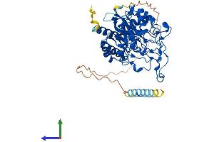 AlphaFold protein structure predicition of Human Recombinant MANEA Protein, UniprotID Q5SRI9