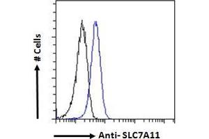 ABIN190899 Flow cytometric analysis of paraformaldehyde fixed A549 cells (blue line), permeabilized with 0.