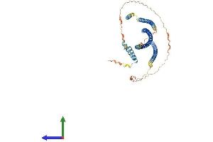 AlphaFold protein structure predicition of Human Recombinant TRAF3IP3 Protein, UniprotID Q9Y228