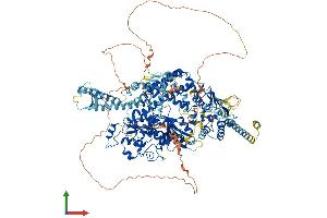 AlphaFold protein structure predicition of Human Recombinant MSH6 Protein, UniprotID P52701