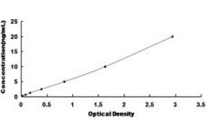 Typical standard curve (CHRNA3 Kit ELISA)