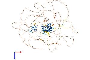 AlphaFold protein structure predicition of Mouse Recombinant Topors Protein, UniprotID Q80Z37