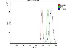 Flow Cytometry analysis of A549 cells using anti-CYB5B antibody (ABIN7600312).