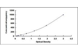 Typical standard curve (NPX1 Kit ELISA)