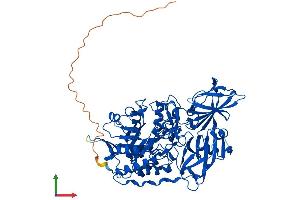 AlphaFold protein structure predicition of Human Recombinant GLB1L3 Protein, UniprotID Q8NCI6