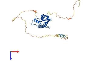 AlphaFold protein structure predicition of Mouse Recombinant Spic Protein, UniprotID Q6P3D7
