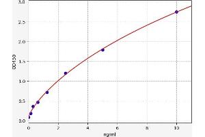 S100 Calcium Binding Protein A6 (S100A6) ELISA Kit