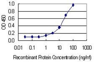 Detection limit for recombinant GST tagged PANX2 is 0.