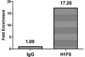Chromatin Immunoprecipitation Hela (4*10 6 ) were treated with Micrococcal Nuclease, sonicated, and immunoprecipitated with 5 μg anti-H1F0 (nme1HU) or a control normal rabbit IgG. (Histone H1 anticorps)