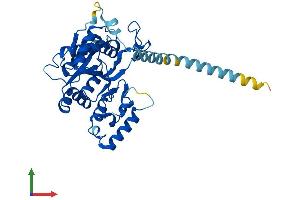 AlphaFold protein structure predicition of Mouse Recombinant B3gnt5 Protein, UniprotID Q8BGY6