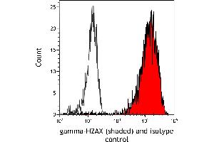 Flow Cytometry (FACS) image for anti-gamma Histone Variant H2AX (GAMMA-H2AX) (Ser140) antibody (ABIN7454026) (Recombinant gamma H2AX anticorps  (Ser140))