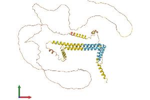 AlphaFold protein structure predicition of Human Recombinant RTN2 Protein, UniprotID O75298