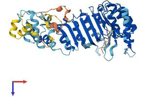 AlphaFold protein structure predicition of Human Recombinant PRAMEF5 Protein, UniprotID Q5TYX0