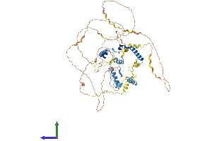 AlphaFold protein structure predicition of Human Recombinant PHACTR4 Protein, UniprotID Q8IZ21