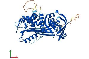 AlphaFold protein structure predicition of Human Recombinant SERPINB4 Protein, UniprotID P48594