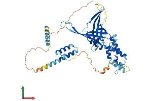 AlphaFold protein structure predicition of Mouse Recombinant Fbxo9 Protein, UniprotID Q8BK06