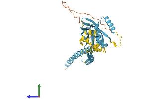 AlphaFold protein structure predicition of Mouse Recombinant Eif3h Protein, UniprotID Q91WK2