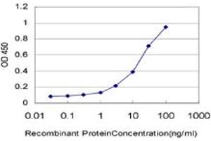 Detection limit for recombinant GST tagged RPS23 is approximately 0.