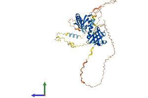 AlphaFold protein structure predicition of Human Recombinant DOK1 Protein, UniprotID Q99704