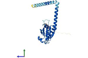 AlphaFold protein structure predicition of Human Recombinant TXNDC9 Protein, UniprotID O14530
