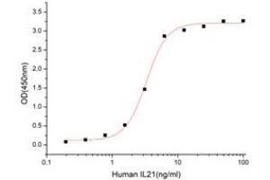 Activity Assay (AcA) image for Interleukin 21 Receptor (IL21R) (AA 20-236) (Active) protein (His tag) (ABIN7607722)