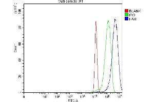 Flow Cytometry analysis of PC-3 cells using anti-FAA/FAH antibody (ABIN7599291). (FAH anticorps  (AA 1-342))
