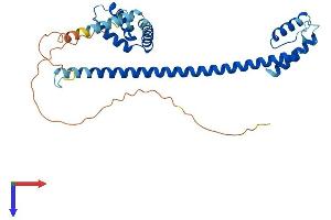 AlphaFold protein structure predicition of Human Recombinant HMG20B Protein, UniprotID Q9P0W2