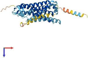 AlphaFold protein structure predicition of Human Recombinant OR6B3 Protein, UniprotID Q8NGW1