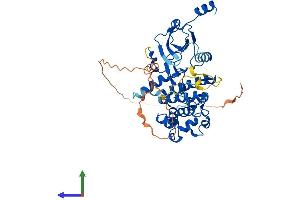 AlphaFold protein structure predicition of Mouse Recombinant Cdk8 Protein, UniprotID Q8R3L8