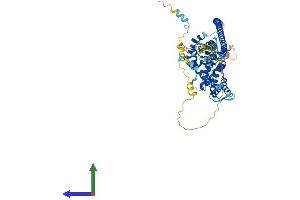 AlphaFold protein structure predicition of Mouse Recombinant Gle1 Protein, UniprotID Q8R322