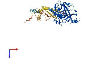 AlphaFold protein structure predicition of Mouse Recombinant Tmprss11a Protein, UniprotID Q3UQ41