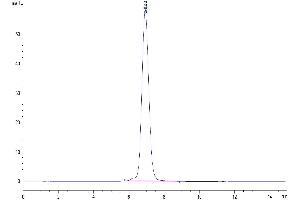 Size-exclusion chromatography-High Pressure Liquid Chromatography (SEC-HPLC) image for Interleukin 31 Receptor A (IL31RA) (AA 20-519) protein (Fc Tag) (ABIN7275030)