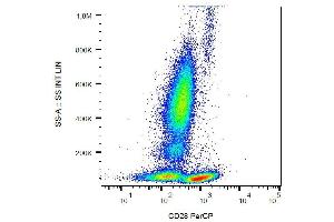 Surface staining of human peripheral blood leukocytes with anti-human CD28 (CD28.