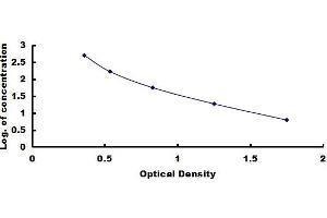 Typical standard curve