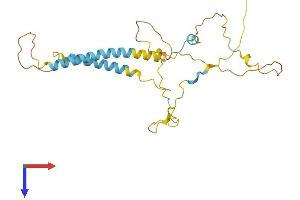 AlphaFold protein structure predicition of Mouse Recombinant Tmem51 Protein, UniprotID Q99LG1