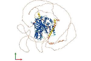AlphaFold protein structure predicition of Human Recombinant PTPN14 Protein, UniprotID Q15678